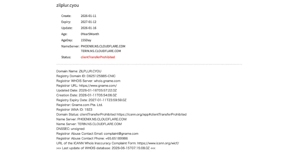 CAPYNEX（zilplur.cyou）のドメイン登録情報（Whois）